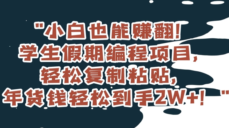 小白也能赚翻！学生假期编程项目，轻松复制粘贴，年货钱轻松到手2W+【揭秘】_豪客资源库