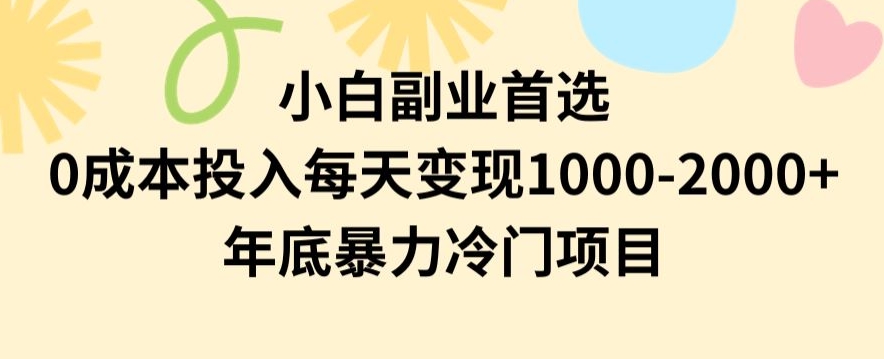 小白副业首选，0成本投入，每天变现1000-2000年底暴力冷门项目【揭秘】_豪客资源库