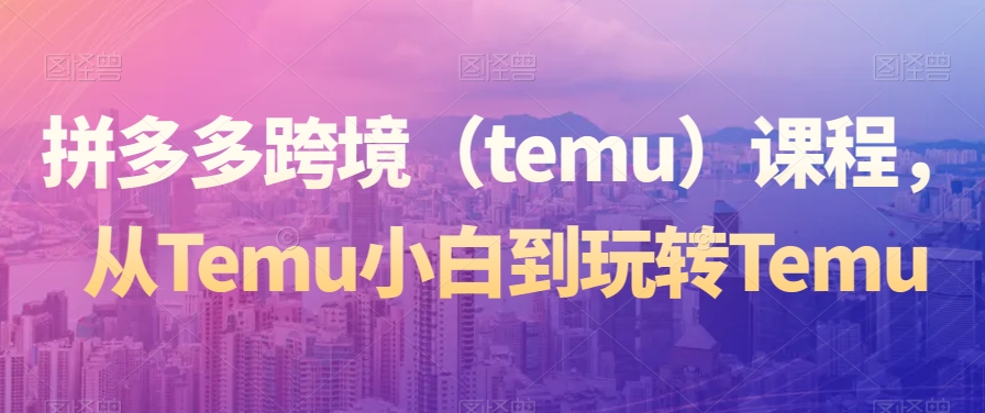 拼多多跨境（temu）课程，从Temu小白到玩转Temu_豪客资源库