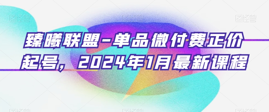 臻曦联盟-单品微付费正价起号,2024年1月最新课程