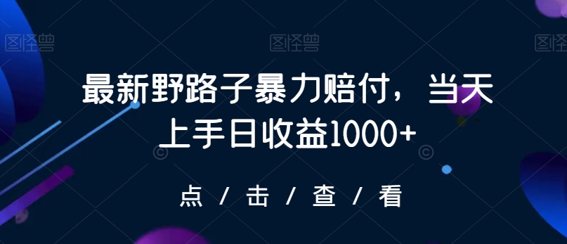 最新野路子暴力赔付，当天上手日收益1000+【仅揭秘】_豪客资源库