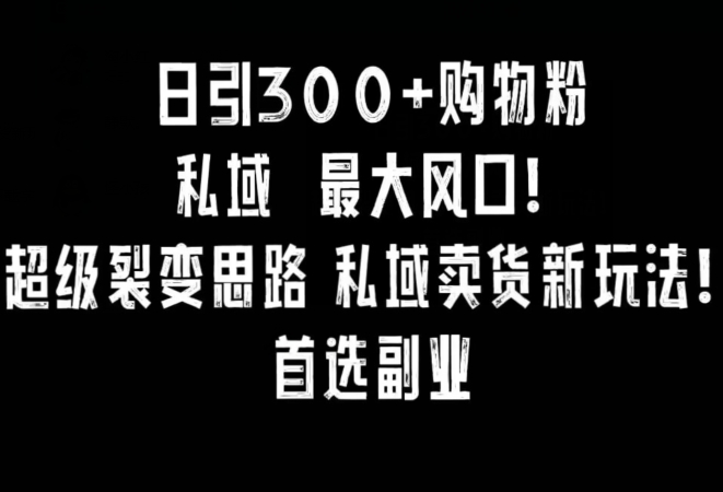 日引300+购物粉,超级裂变思路,私域卖货新玩法,小红书首选副业【揭秘】_豪客资源库