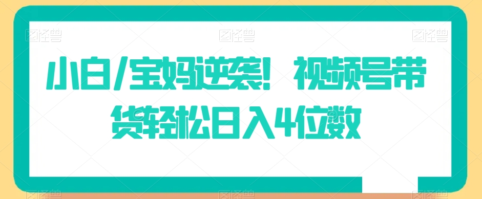 小白/宝妈逆袭！视频号带货轻松日入4位数【揭秘】_豪客资源库