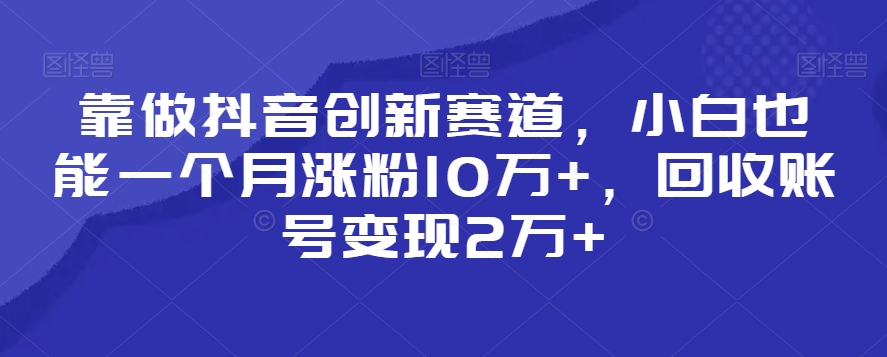 靠做抖音创新赛道，小白也能一个月涨粉10万+，回收账号变现2万+【揭秘】_豪客资源库