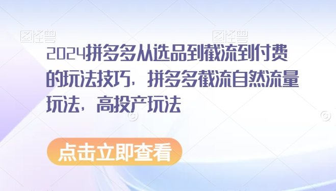 2024拼多多从选品到截流到付费的玩法技巧，拼多多截流自然流量玩法，高投产玩法_豪客资源库