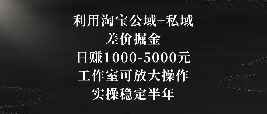 利用淘宝公域+私域差价掘金，日赚1000-5000元，工作室可放大操作，实操稳定半年【揭秘】_豪客资源库