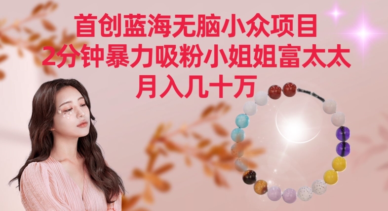 首创蓝海无脑小众项目，2分钟暴力吸粉小姐姐富太太，月入几十万【揭秘】_豪客资源库