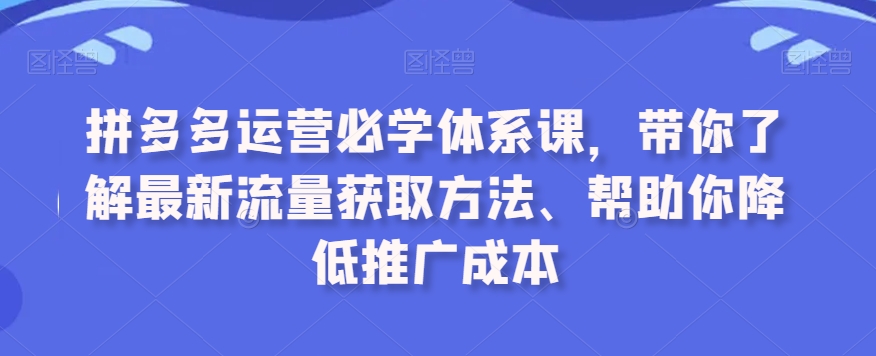 拼多多运营必学体系课,带你了解最新流量获取方法、帮助你降低推广成本_豪客资源库