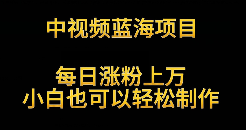 中视频蓝海项目，解读英雄人物生平，每日涨粉上万，小白也可以轻松制作，月入过万不是梦【揭秘】_豪客资源库