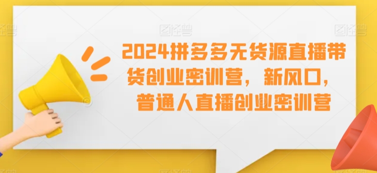 2024拼多多无货源直播带货创业密训营，新风口，普通人直播创业密训营_豪客资源库