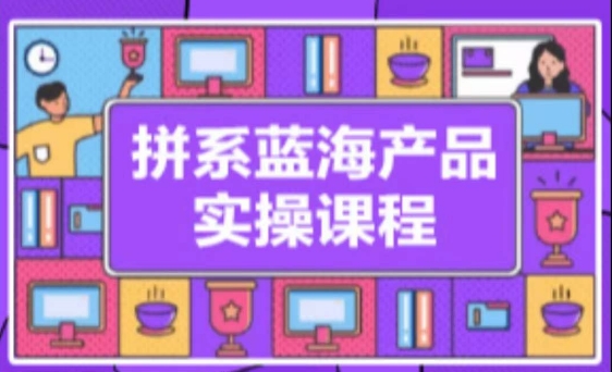 拼系冷门蓝海产品实操课程，从注册店铺到选品上架到流量维护环环相扣_豪客资源库