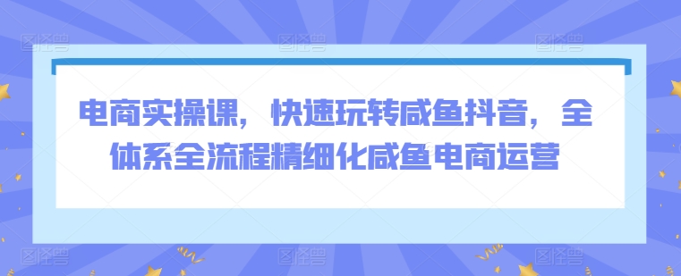 电商实操课，快速玩转咸鱼抖音，全体系全流程精细化咸鱼电商运营_豪客资源库