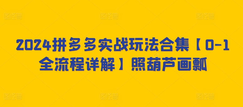 2024拼多多实战玩法合集【0-1全流程详解】照葫芦画瓢_豪客资源库