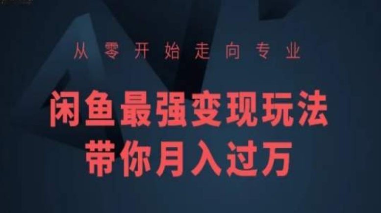 从零开始走向专业，闲鱼最强变现玩法带你月入过万_豪客资源库