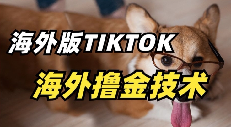 抖音海外版tiktok撸金技术，这个风口行业，赚钱真的不难【揭秘】_豪客资源库