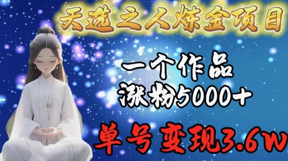 天选之人炼金项目，一个作品涨粉5000+，单号变现3.6w【揭秘】_豪客资源库
