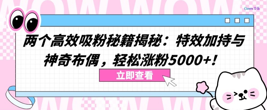 两个高效吸粉秘籍揭秘：特效加持与神奇布偶，轻松涨粉5000+【揭秘】_豪客资源库