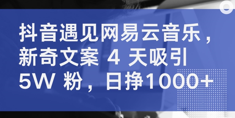 抖音遇见网易云音乐,新奇文案 4 天吸引 5W 粉,日挣1000+【揭秘】_豪客资源库