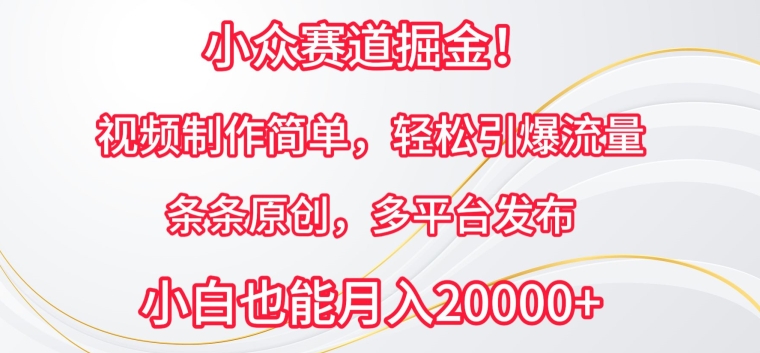 小众赛道掘金，视频制作简单，轻松引爆流量，条条原创，多平台发布【揭秘】_豪客资源库