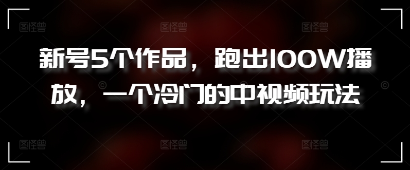 新号5个作品，跑出100W播放，一个冷门的中视频玩法【揭秘】_豪客资源库