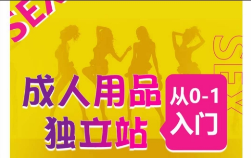 成人用品独立站从0-1入门,成品独立站运营全流程教学,七大好卖成品独立站推荐_豪客资源库
