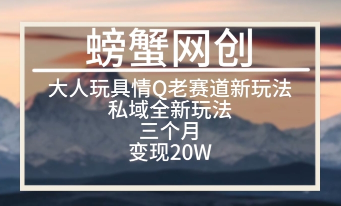 大人玩具情Q用品赛道私域全新玩法，三个月变现20W，老项目新思路【揭秘】_豪客资源库