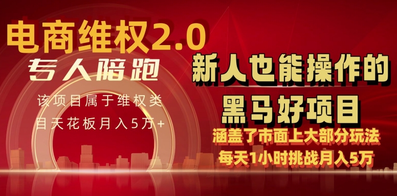 电商维权 4.0 如何做到月入 5 万+每天 1 小时新人也能快速上手【仅揭秘】_豪客资源库