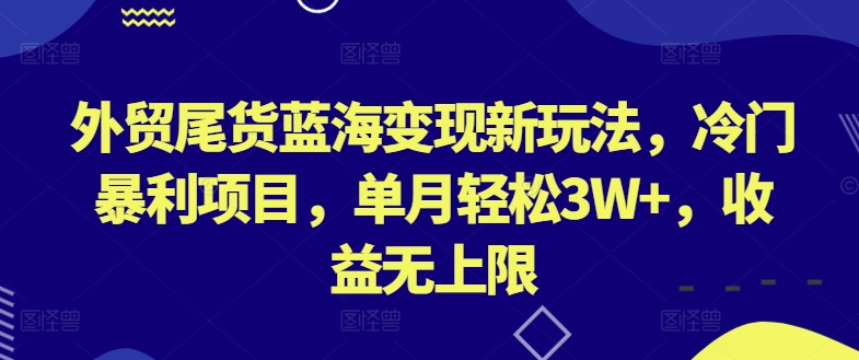 外贸尾货蓝海变现新玩法，冷门暴利项目，单月轻松3W+，收益无上限【揭秘】_豪客资源库