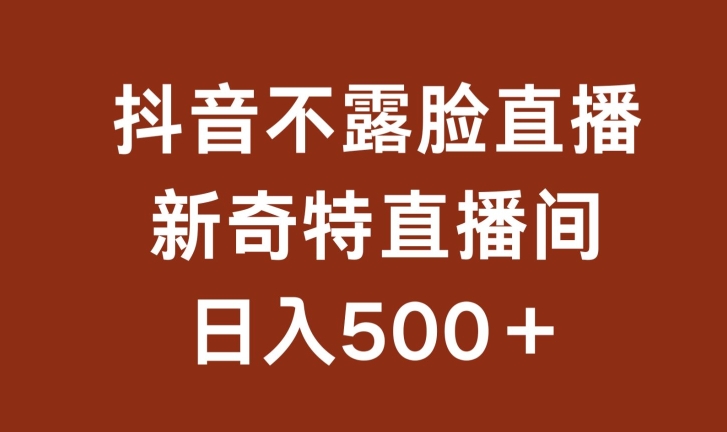 不露脸挂机直播，新奇特直播间，日入500+【揭秘】_豪客资源库