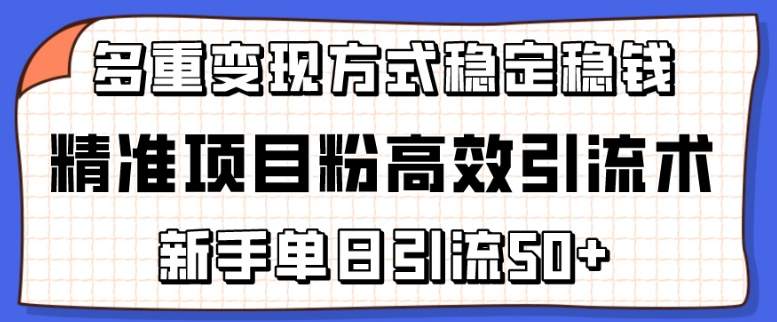 精准项目粉高效引流术，新手单日引流50+，多重变现方式稳定赚钱【揭秘】_豪客资源库