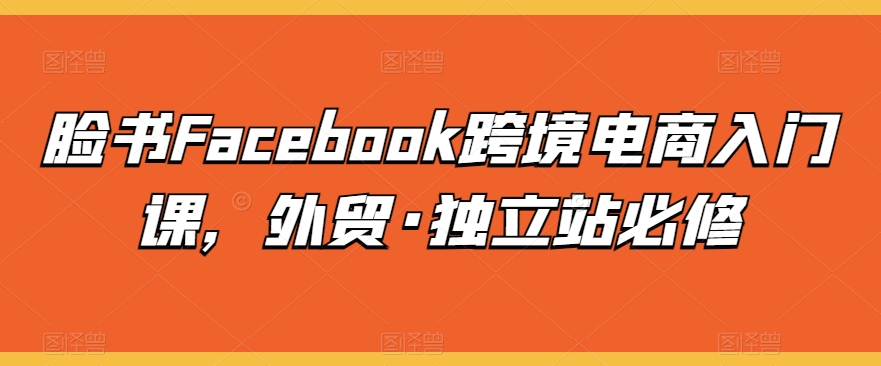 脸书Facebook跨境电商入门课，外贸·独立站必修_豪客资源库