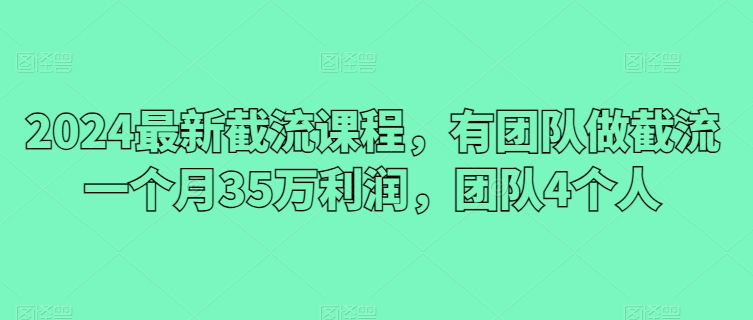 2024最新截流课程，有团队做截流一个月35万利润，团队4个人_豪客资源库