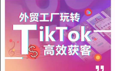外贸工厂玩转TikTok高效获客，多种引流方式与账号定位技巧，拆解爆款短视频打造成功案例_豪客资源库