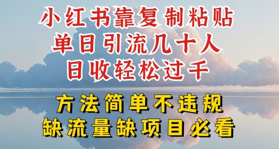 小红书靠复制粘贴单日引流几十人目收轻松过千，方法简单不违规【揭秘】_豪客资源库