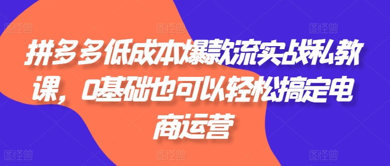 拼多多低成本爆款流实战私教课,0基础也可以轻松搞定电商运营_豪客资源库