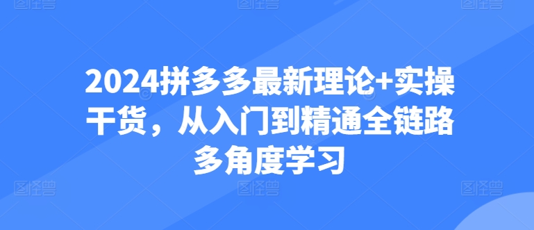 2024拼多多最新理论+实操干货，从入门到精通全链路多角度学习_豪客资源库