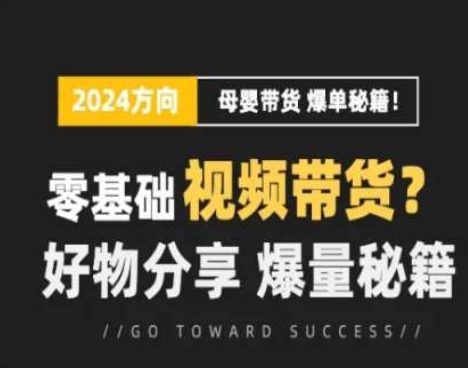 短视频母婴赛道实操流量训练营，零基础视频带货，好物分享，爆量秘籍_豪客资源库