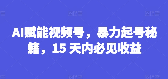 AI赋能视频号，暴力起号秘籍，15 天内必见收益【揭秘】_豪客资源库