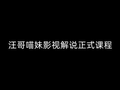汪哥影视解说正式课程：剪映/PR教学/视解说剪辑5大黄金法则/全流程剪辑7把利器等等_豪客资源库
