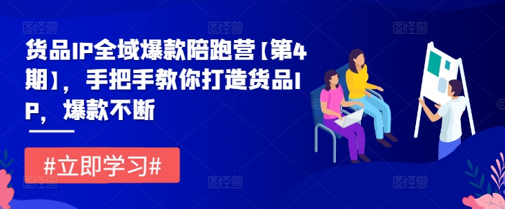 货品IP全域爆款陪跑营【第4期】，手把手教你打造货品IP，爆款不断_豪客资源库
