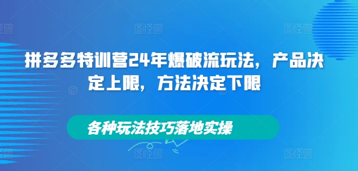 拼多多特训营24年爆破流玩法,产品决定上限,方法决定下限,各种玩法技巧落地实操_豪客资源库