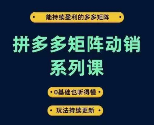 拼多多矩阵动销系列课,能持续盈利的多多矩阵,0基础也听得懂,玩法持续更新_豪客资源库