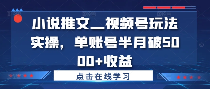 小说推文—视频号玩法实操，单账号半月破5000+收益_豪客资源库