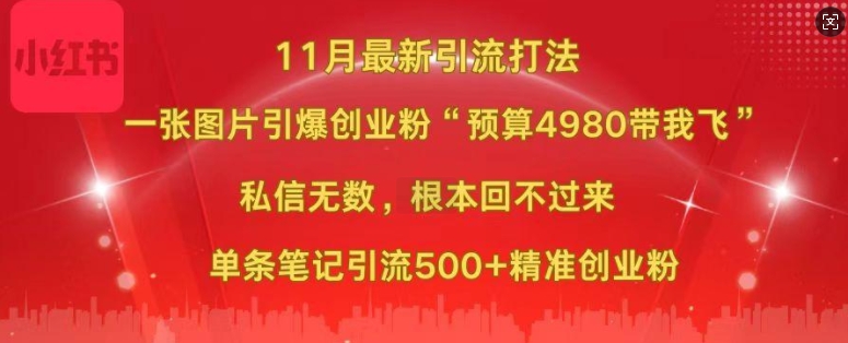 小红书11月最新图片打粉，一张图片引爆创业粉，“预算4980带我飞”，单条引流500+精准创业粉_豪客资源库