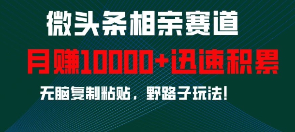 微头条相亲赛道，迅速积累，无脑复制粘贴，野路子玩法，月入1w_豪客资源库