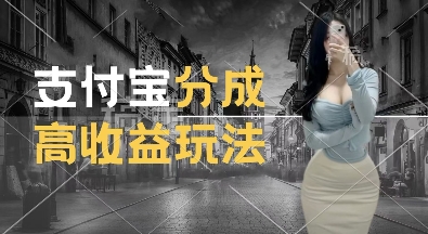 支付宝分成计划新玩法，利用交通事故视频，赚收益，轻松月入过W，操作简单【揭秘】_豪客资源库