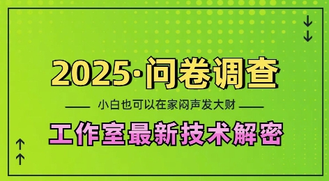 2025问卷调查最新工作室技术解密：一个人在家也可以闷声发大财，小白一天2张，可矩阵放大【揭秘】_豪客资源库