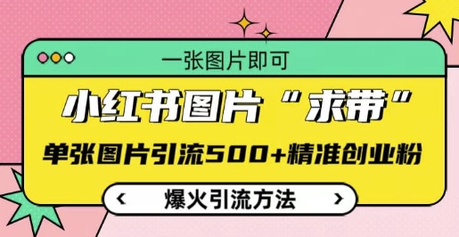 小红书图片‘求带’爆火引流法，单张图片引流500+精准创业粉【揭秘】_豪客资源库