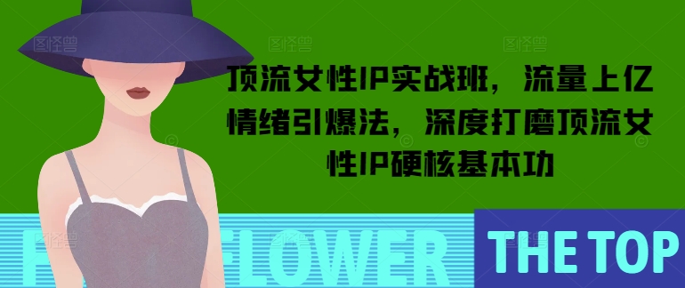 顶流女性IP实战班，流量上亿情绪引爆法，深度打磨顶流女性IP硬核基本功——豪客资源创业项目网-豪客资源_豪客资源库