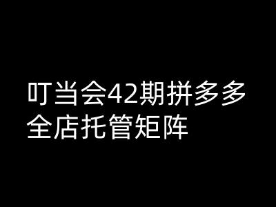 叮当会拼多多打爆班原创高阶技术第42期，拼多多全店托管矩阵——豪客资源创业项目网-豪客资源_豪客资源库